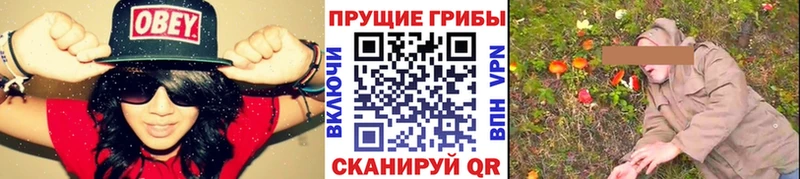Галлюциногенные грибы мухоморы мориарти официальный сайт Норильск